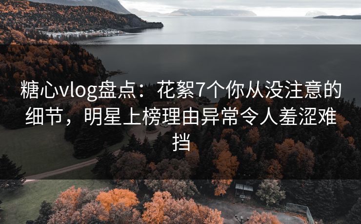 糖心vlog盘点：花絮7个你从没注意的细节，明星上榜理由异常令人羞涩难挡